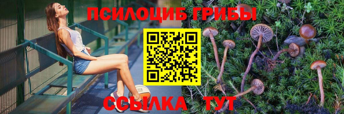как найти закладки  Галлюциногенные грибы ЛСД  Вход с VPN  Феодосия  Галлюциногенные грибы Psilocybine cubensis 